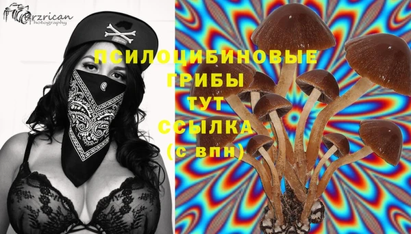 мяу мяу кристалл Балахна