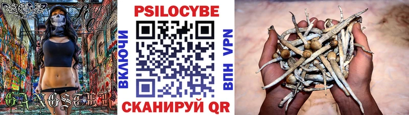 Галлюциногенные грибы мухоморы  как найти наркотики  Бирюсинск 