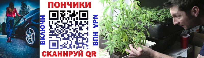 OMG рабочий сайт  Бирюсинск  Бошки Шишки AK-47 